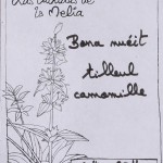 Bona nueit composition