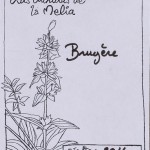 Bruyère composition
