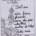Detox composition