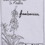 Franboisier composition