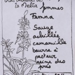 Nous les femmes composition