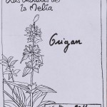 Origan composition