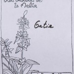 Ortie composition