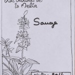 Sauge composition