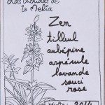 Zen composition