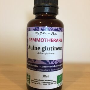 gemo aulne