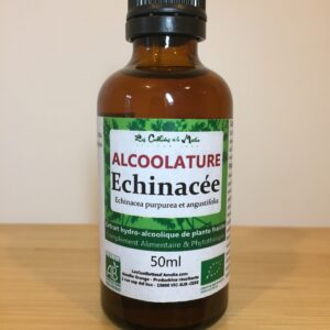 échinacée