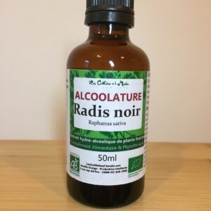 radis noir