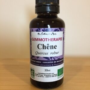 gemmothérapie chene