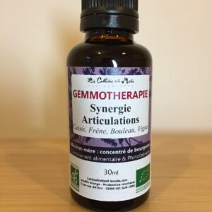 synergie articulations